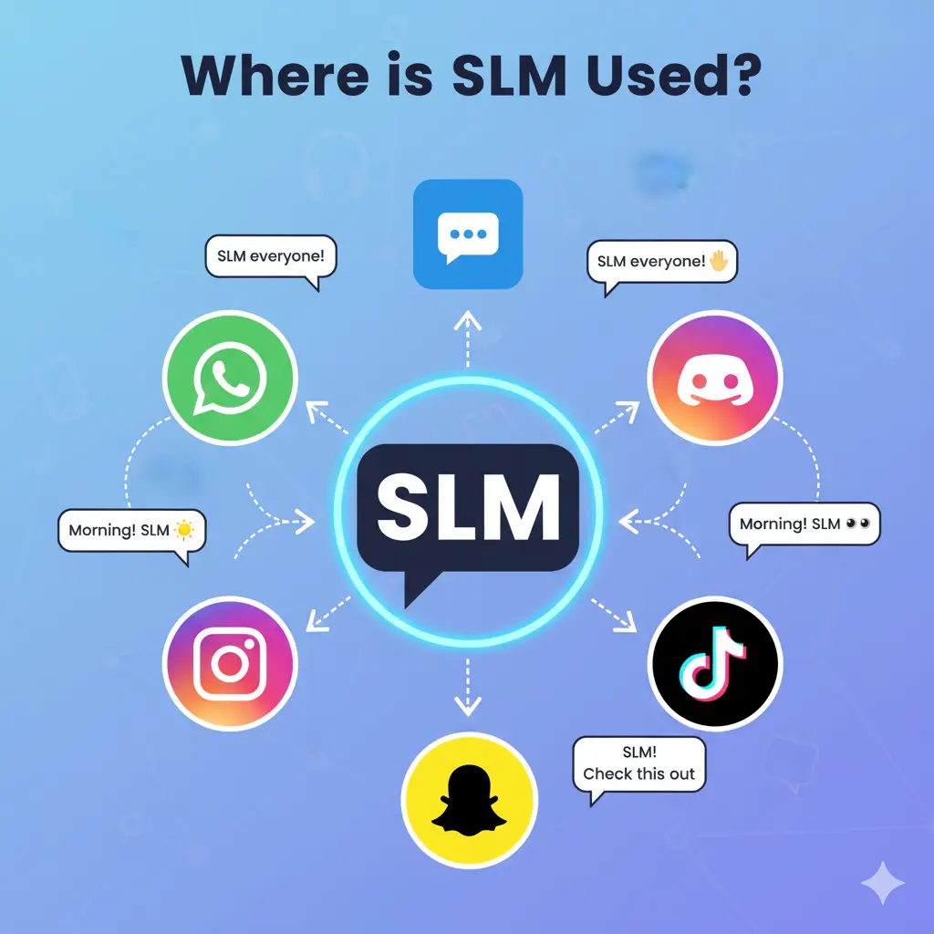 Where Is SLM Used?