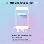 NTMU Meaning in Text