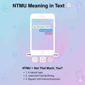 NTMU Meaning in Text